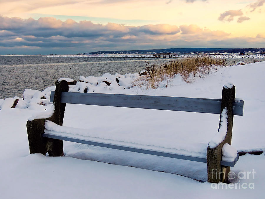 Bench by the Winter Sea Photograph by Janice Drew