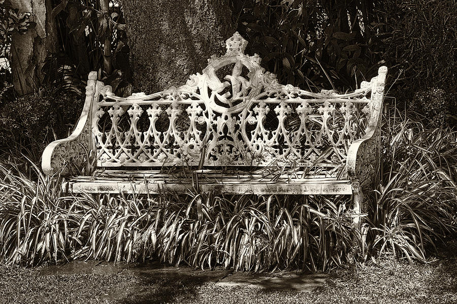 Bench Photograph by Eunice Gibb