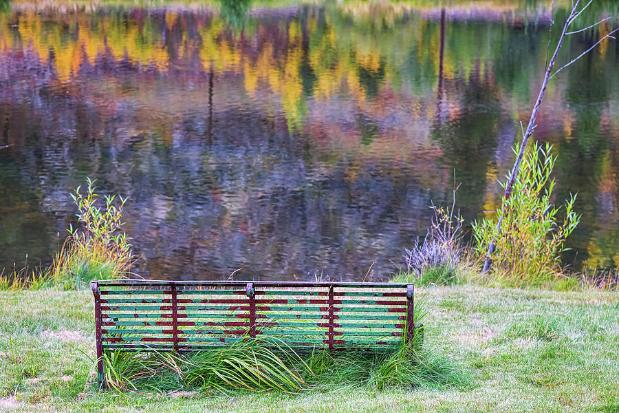 Bench For Day Dreaming Photograph by James BO Insogna