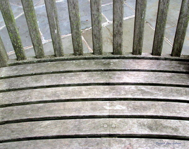 Bench Illusion Photograph by Deborah  Crew-Johnson