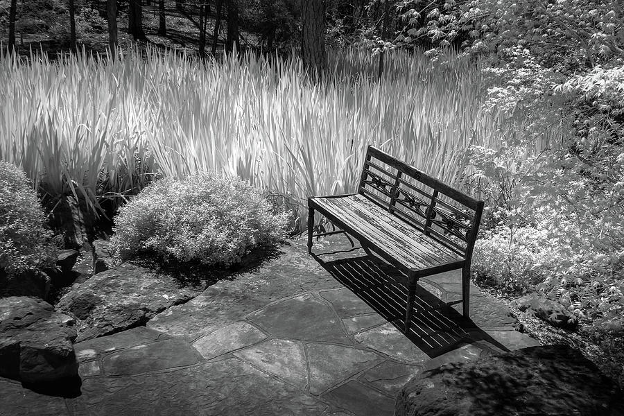 Bench in Black and White Photograph by James Barber