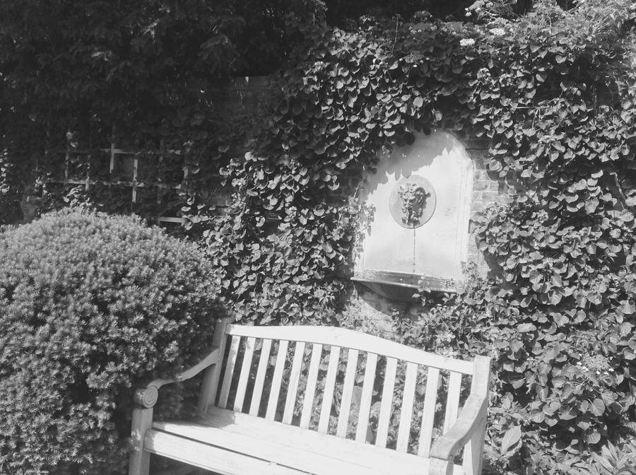 Bench In Garden Black And White Photograph