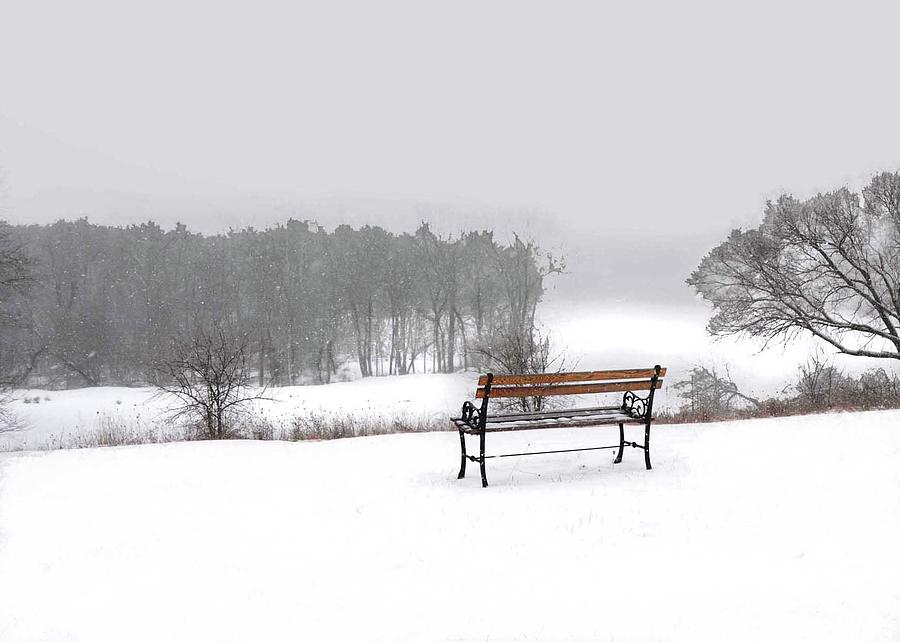 Bench in Snow Photograph by Coke Mattingly