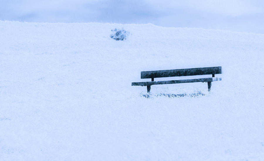 Bench in Snow Photograph by Josephine Buschman