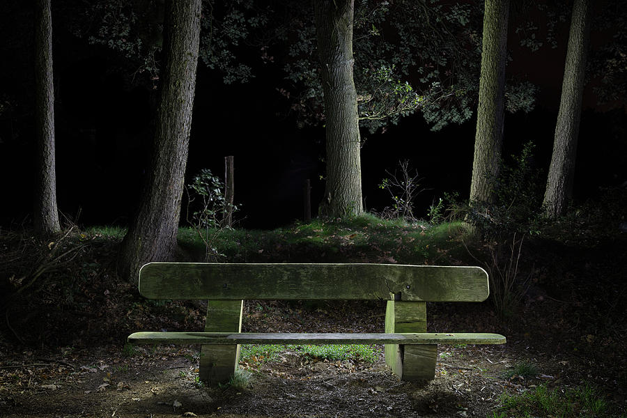 Bench in the dark forest Photograph by Dirk Ercken