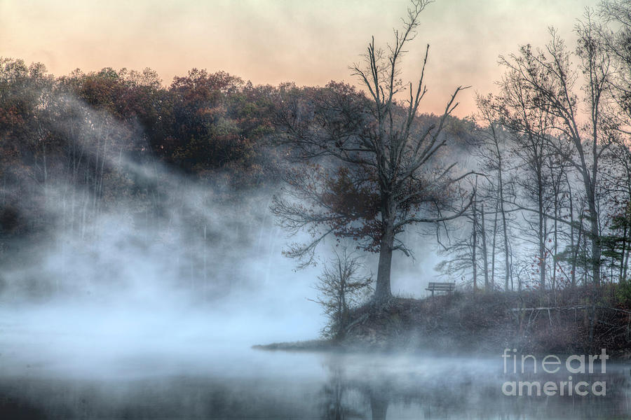 Bench Photograph - Bench In The Fog by Larry Braun Bench Photograph - Bench In The Fog by Larry Braun