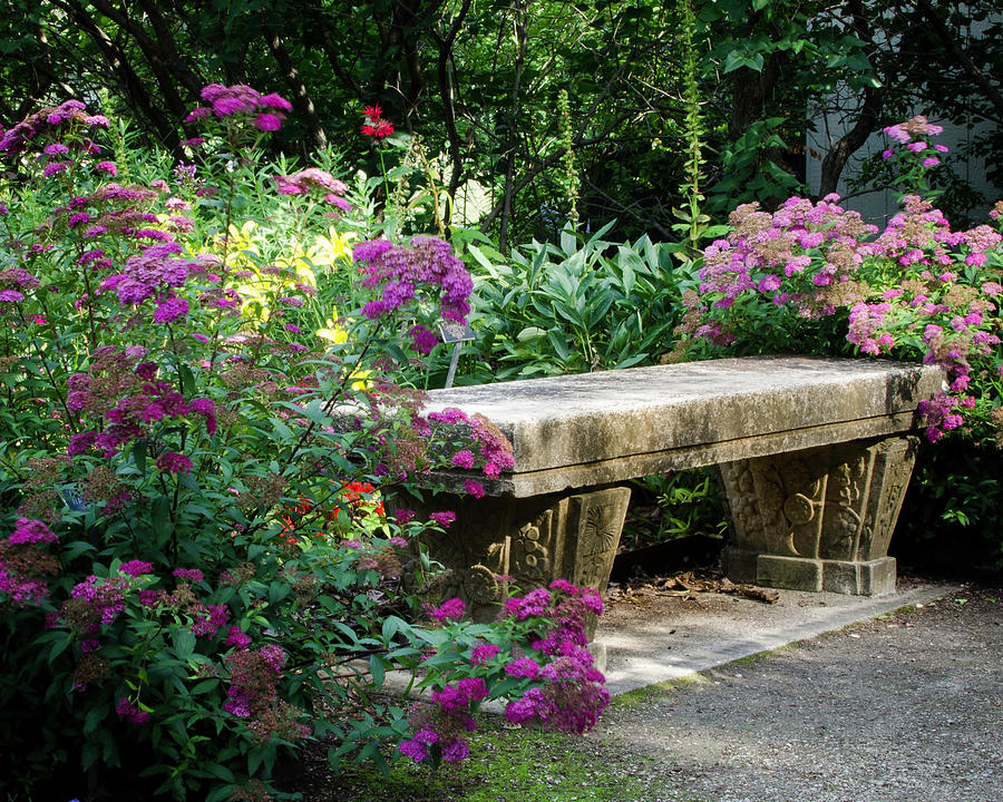 Bench In The Garden Photograph