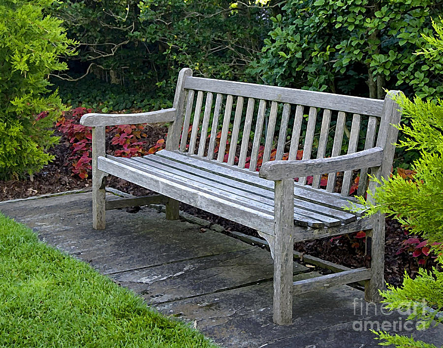 Bench in the Garden Photograph by Robert Suggs
