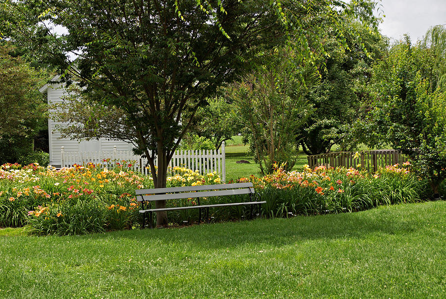 Bench in the Garden Photograph by Sandy Keeton