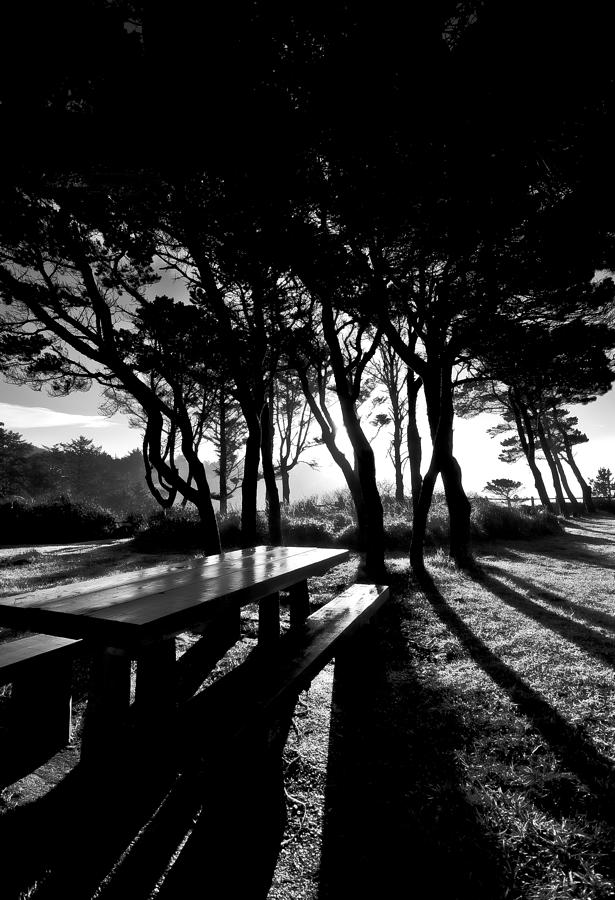 Bench in the Shadows Photograph by Dale Stillman