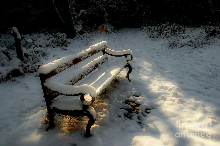 Bench in the Snow Photograph by Ann Garrett