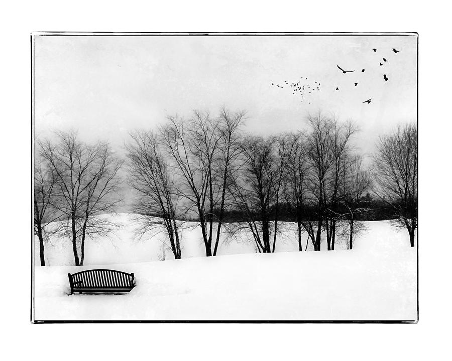Bench in the Snow Photograph by Karen Castillo