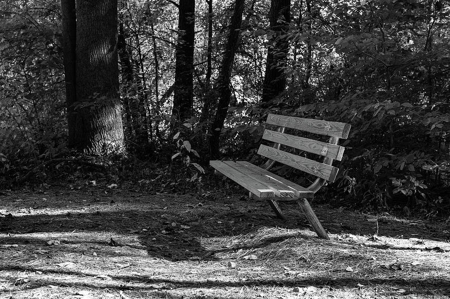 Bench in Tidbury Park Dover Delaware in Black and White Photograph by ...