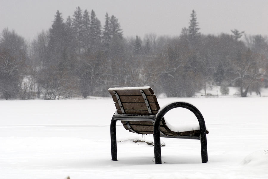 Bench in Winter Photograph by Steve Somerville