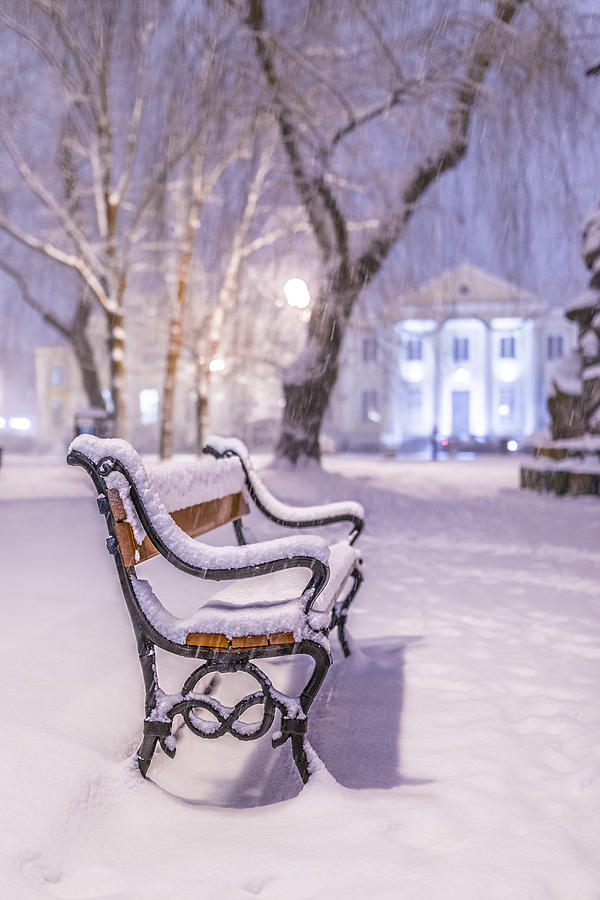 Winter Photograph - Bench by Jaroslaw Grudzinski