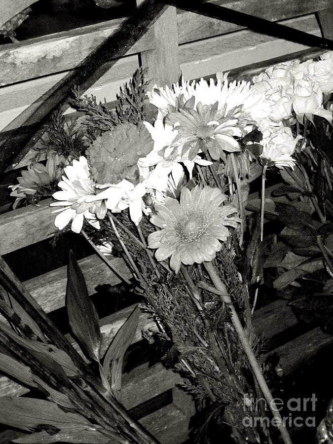 Flower Photograph - Condolences by Jessica Kristoff