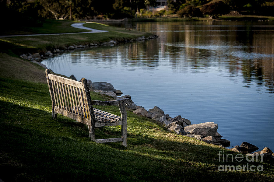 Bench On The Pond Photograph