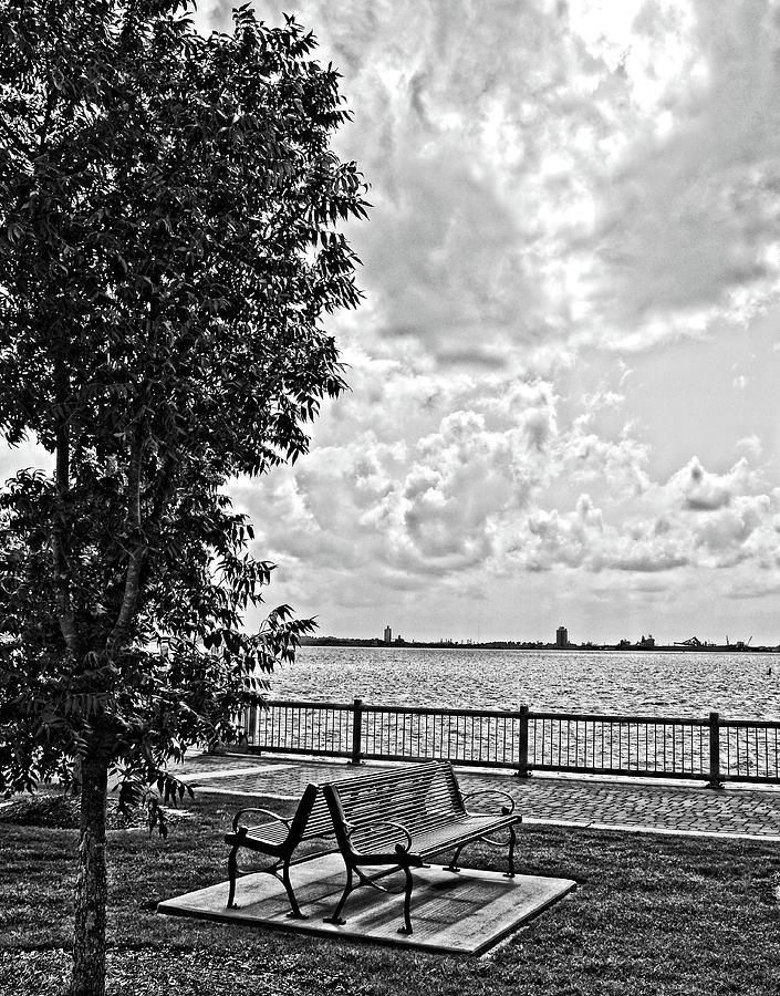 Bench Overlooking the Bay Photograph by Maggy Marsh