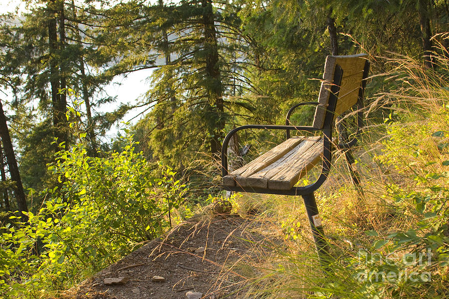 Bench with a View Photograph by Idaho Scenic Images Linda Lantzy