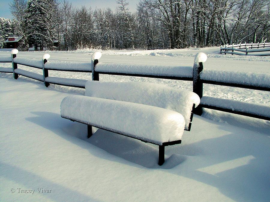 Benched Photograph by Tracey Vivar