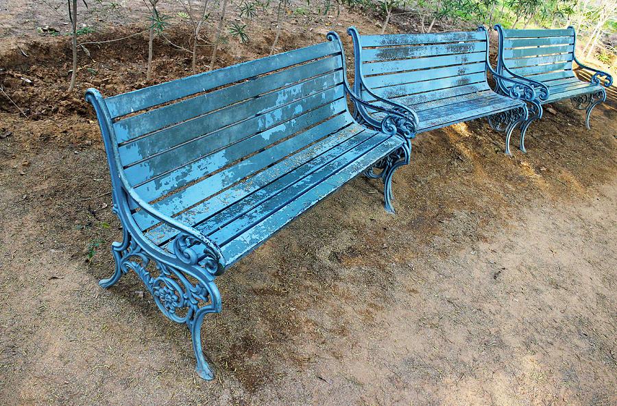 Benches and Blues Photograph by Prakash Ghai
