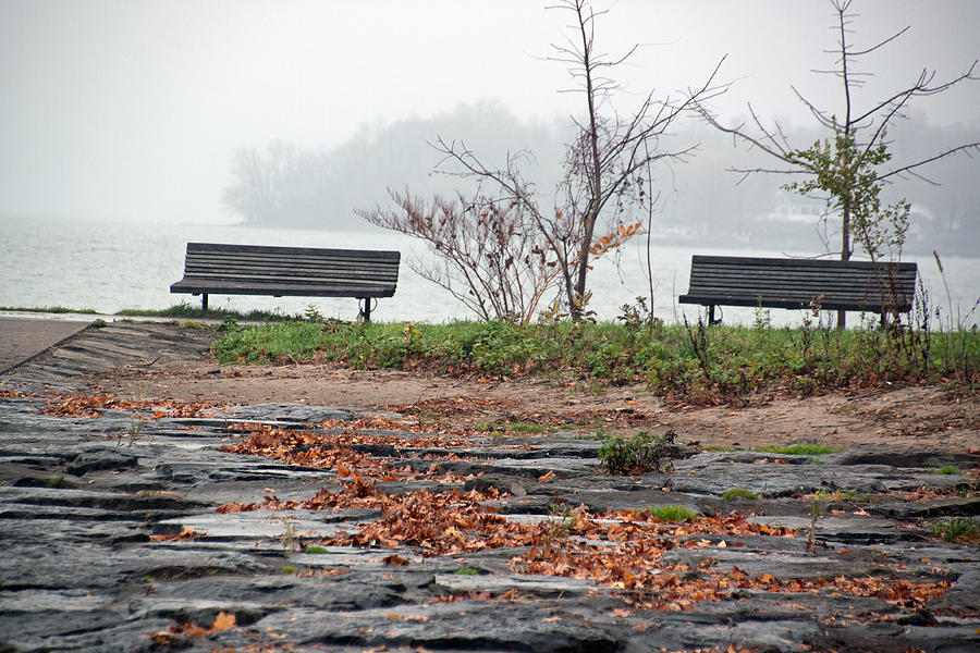 Benches at Webster Pier Photograph by Gerald Salamone