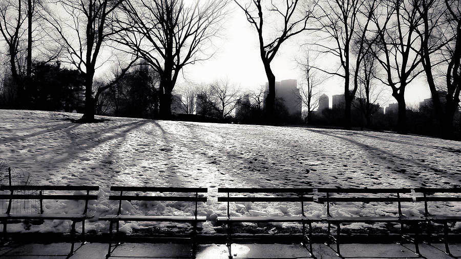 Benches by Central Park Photograph by Christopher Maxum