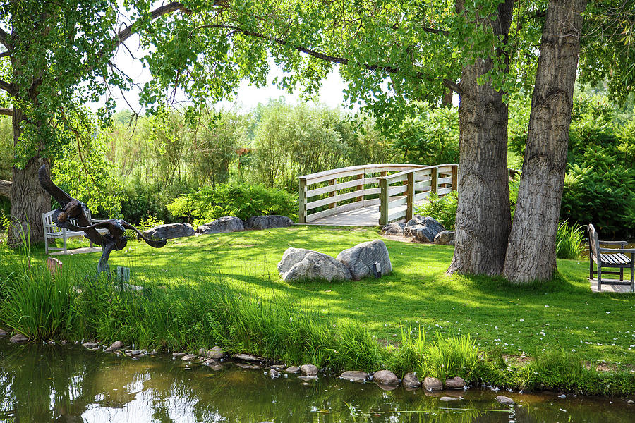 Benches in Grass Between Bridge and Pond Photograph by Darryl Brooks