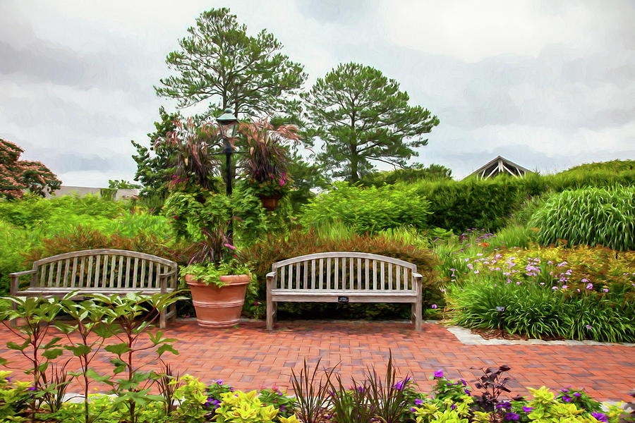 Benches In The Garden Photograph