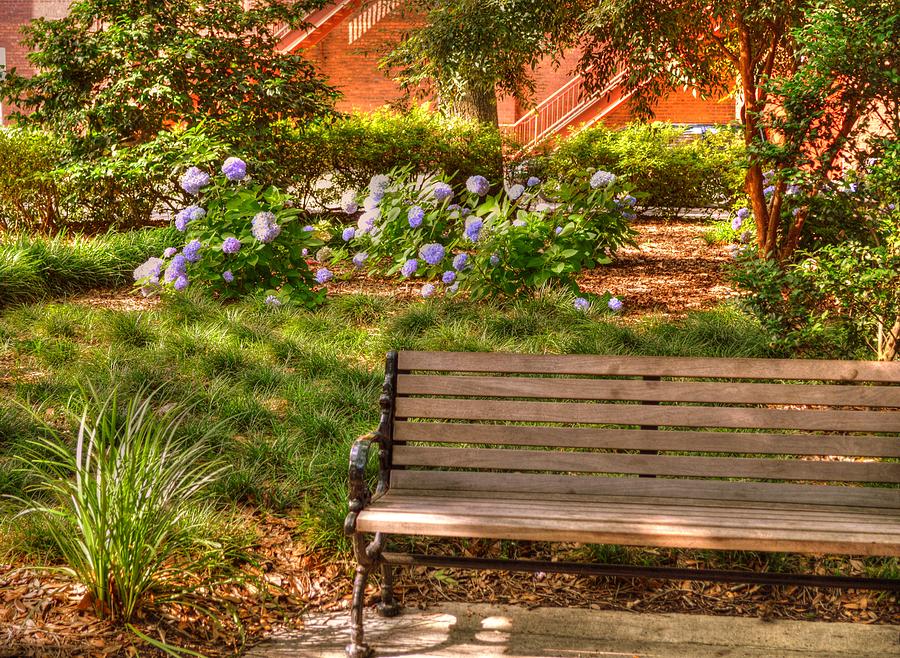 Benches of Savannah Photograph by Linda Covino - Fine Art America