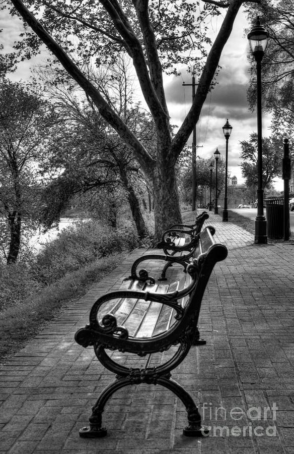 Benches On Riverside Drive BW Photograph by Mel Steinhauer