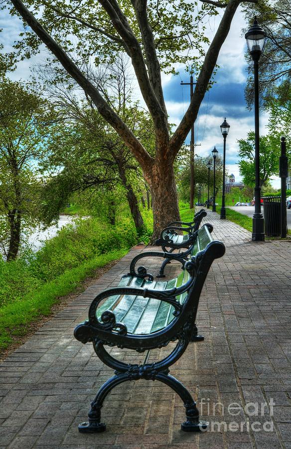 Benches On Riverside Drive Photograph by Mel Steinhauer