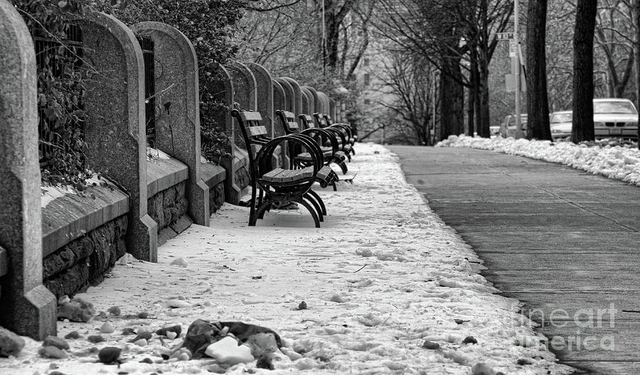 Benches Snow NYC Parks Black W Photograph by Chuck Kuhn