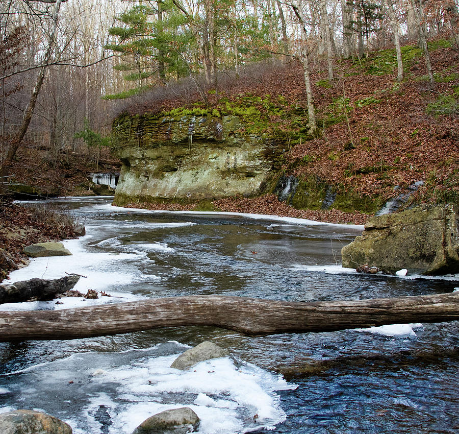 Bend in Creek Photograph by Virginia Folkman