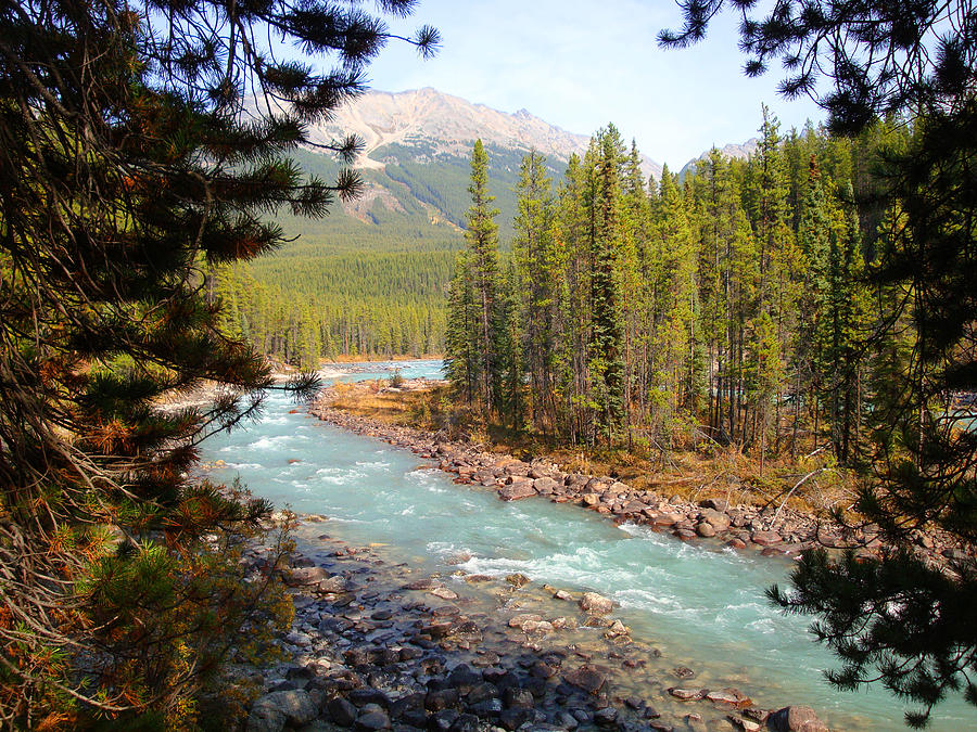 Bend in the River Photograph by Charmaine Anderson - Fine Art America