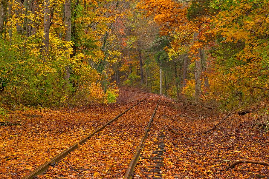 Fall Photograph - Bend in the Tracks by Steve Luther