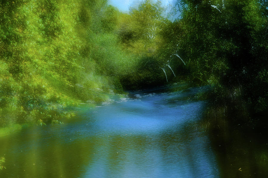 Bend Of The Creek Photograph