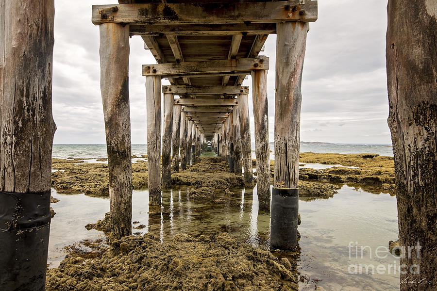 Beach Photograph - Beneath the Jetty by Linda Lees