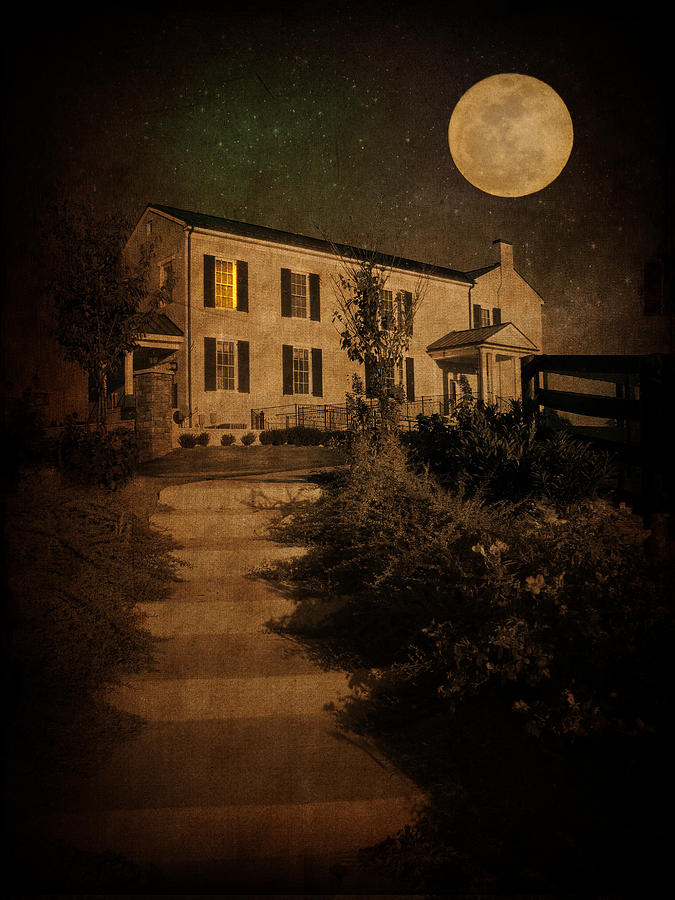 Beneath the Perigree Moon Photograph by Amy Tyler