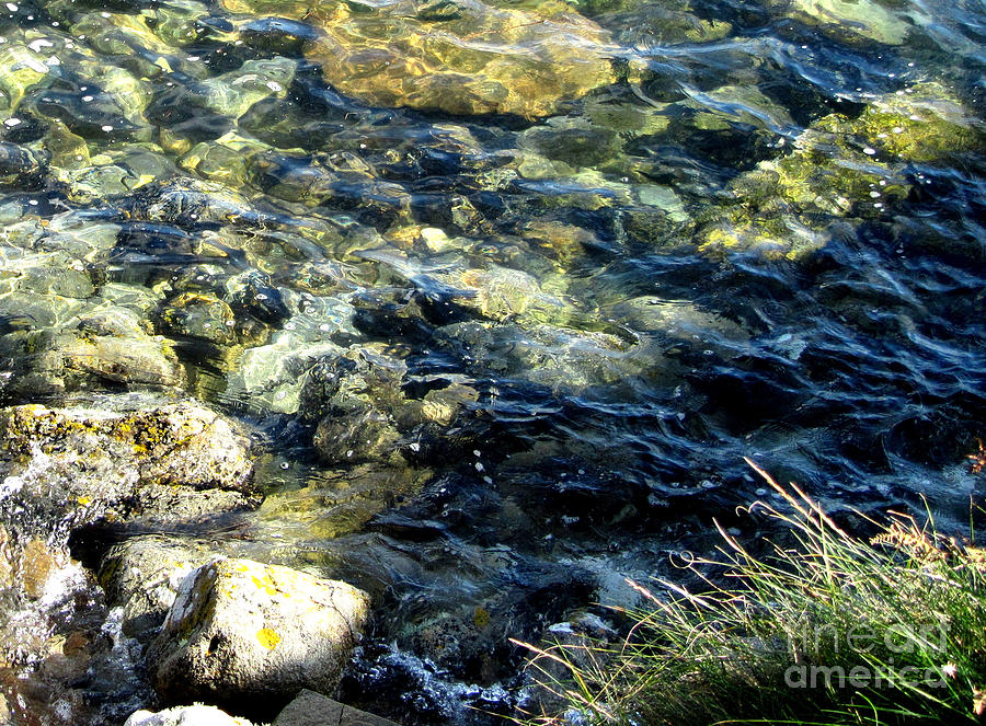 Clear Waters Photograph by Valerie Travers
