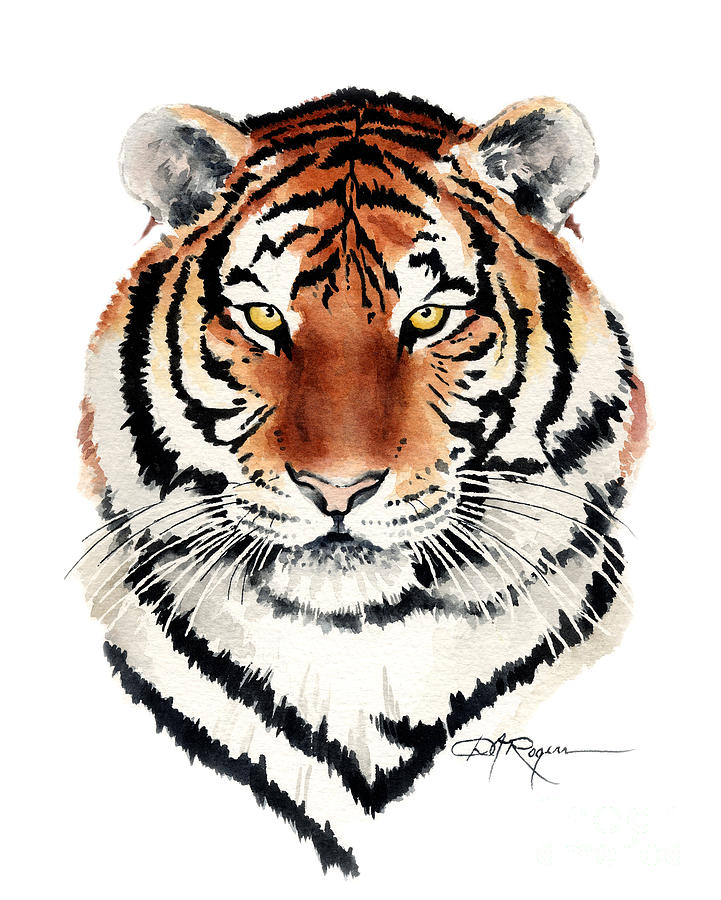Wildlife Painting - Bengal Tiger by David Rogers
