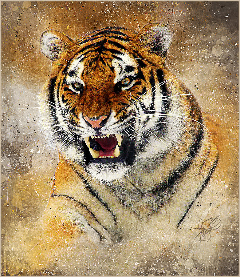 Bengal Tiger Digital Art by Tom Schmidt