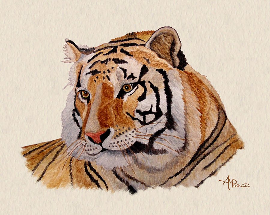 Bengal Tiger Watercolor Painting by Angeles M Pomata