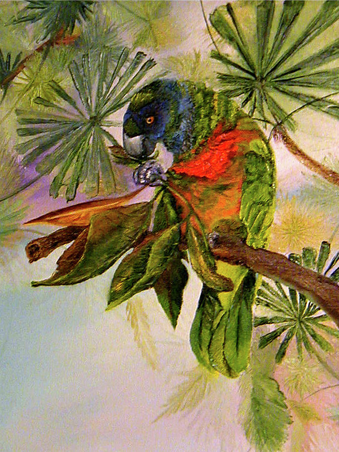 Benny the Kid Parrot Painting by Terry R MacDonald