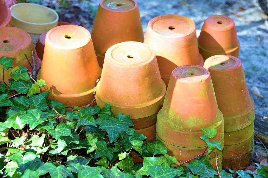 Bens Pots Photograph by Jan Amiss Photography