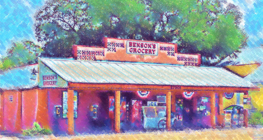 Bensons Grocery in Bonita Springs in Pastel Photograph by Ginger Wakem