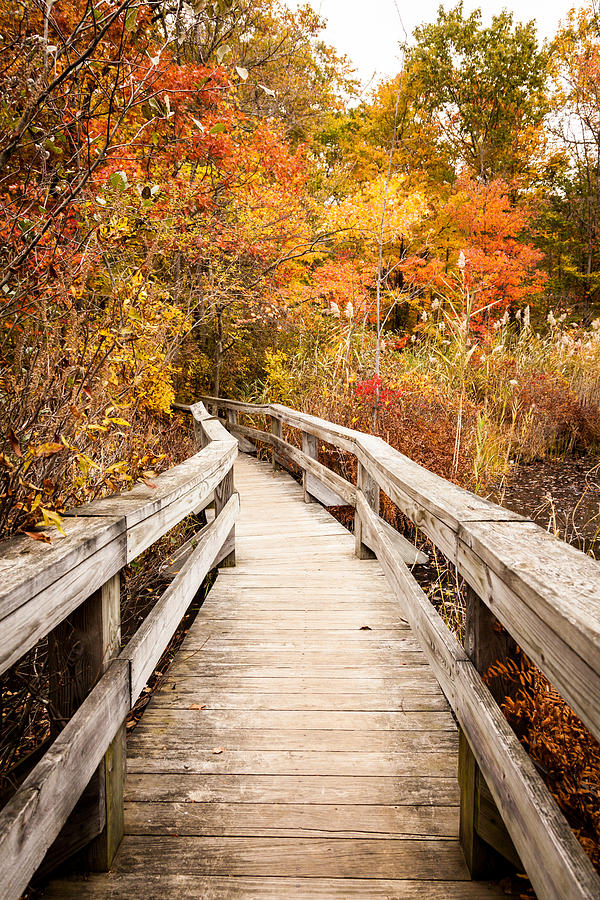 Fall Photograph - Bent Bridge by Alexander Mendoza