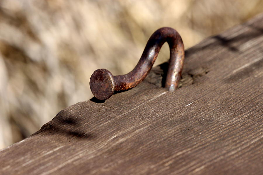 Bent nail Photograph by James Smullins