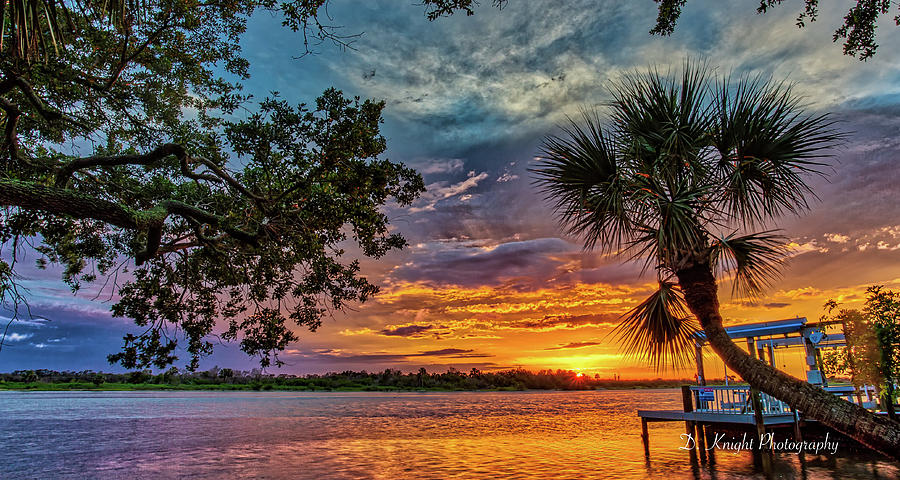 Bent Palm Sunset Photograph by Dillon Kalkhurst