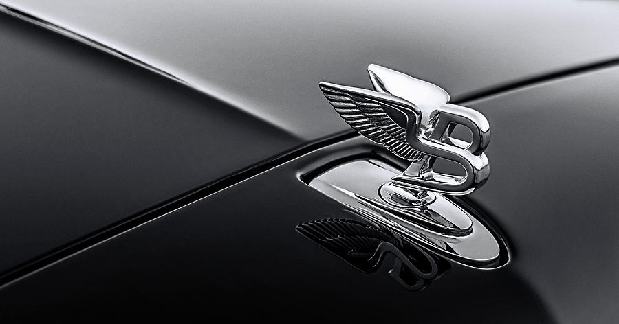 Bentley Flying B Monochrome Digital Art by Douglas Pittman